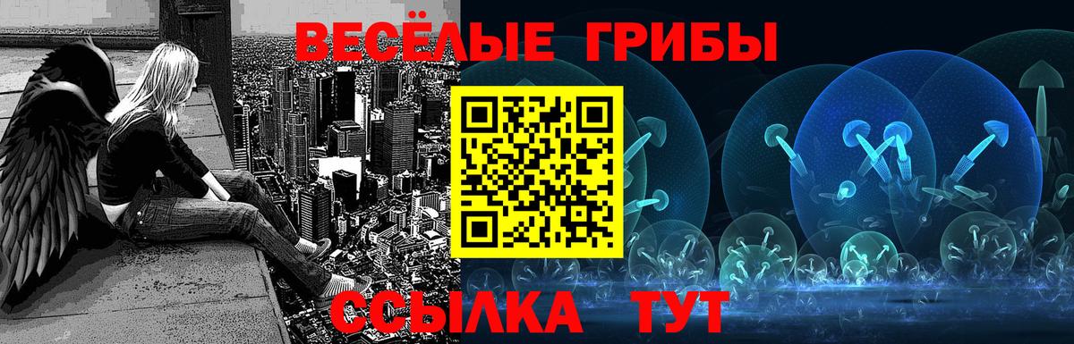 Галлюциногенные грибы Cubensis  Псилоцибиновые грибы Psilocybine cubensis  Вход с VPN  Заволжье 