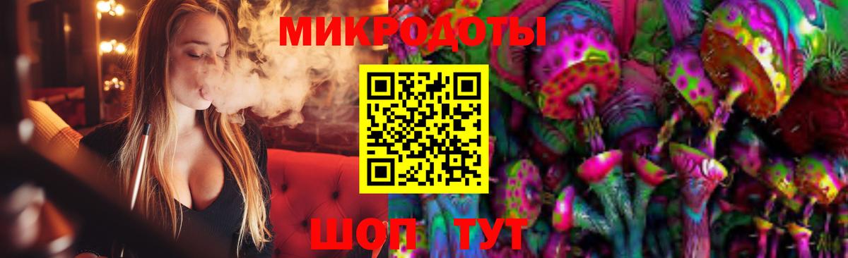 Псилоцибиновые грибы мицелий Заволжье